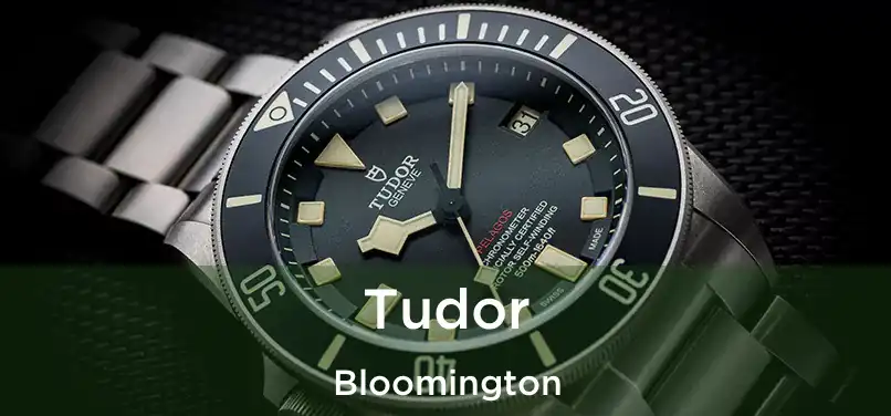 Tudor Bloomington